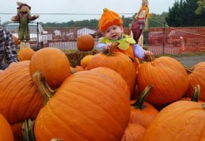 2014 Photo Contest Winner from Burke Nursery!