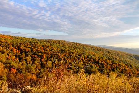 Best Spot for Enjoying Foliage in Northern Virginia
