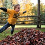Five Fall Gardening Tips