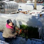 Parktakes Gardening Class near Burke and Springfield
