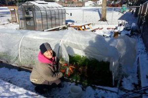 Parktakes Gardening Class near Burke and Springfield