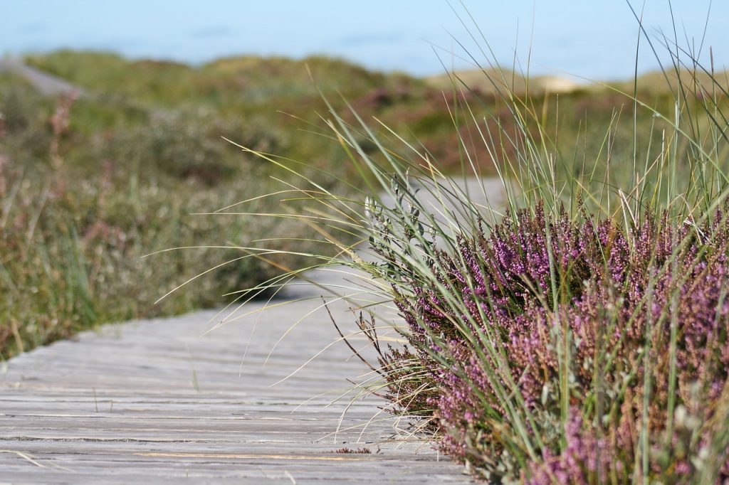 Northern Virginia Boardwalk Hikes