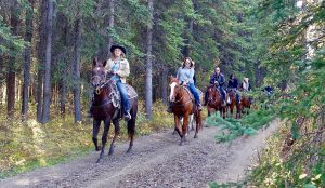 Equestrian Trails Northern Virginia