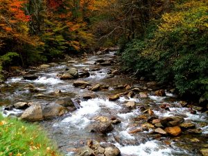 Fall Hiking Fairfax County