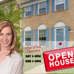 OPEN HOUSE in SPRINGFIELD VA
