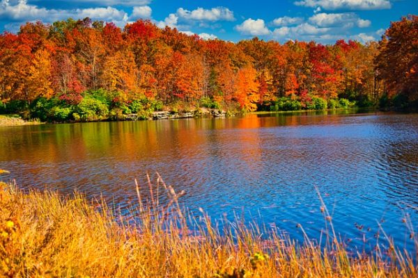 See NoVA Fall Foliage Before It’s Gone