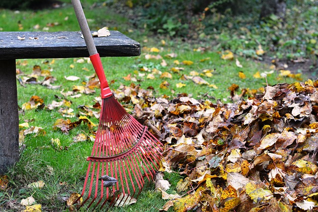 Pre-Winter Lawncare