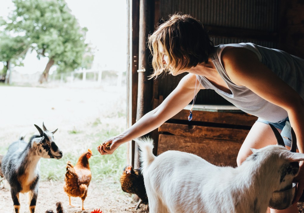 Great Country Farms