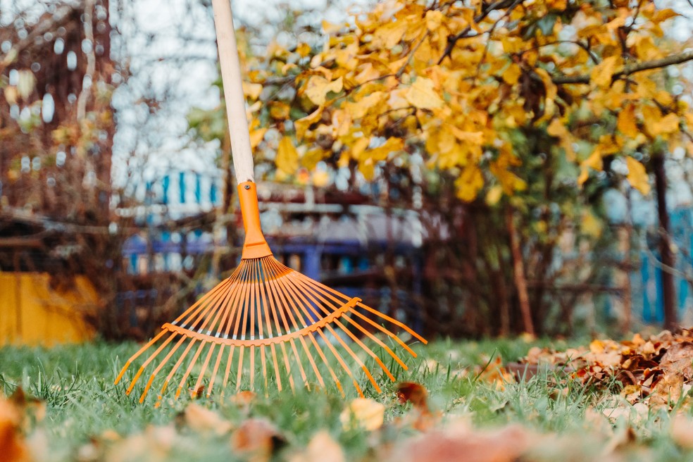 Winter Yard Work