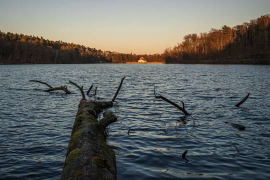 burke lake